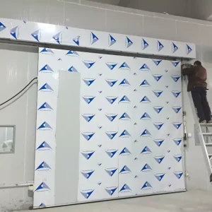 Automatic Sliding Door